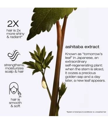 Shu Uemura Ashita Supreme Intense Revitalization Treatment