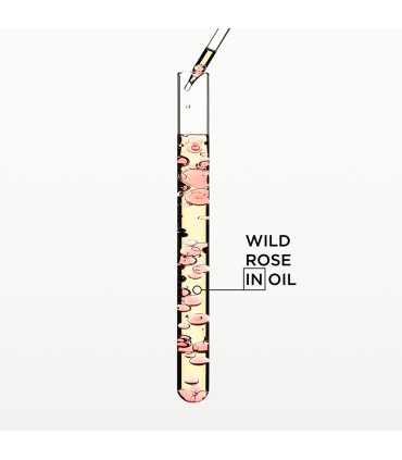 Kérastase Gloss Absolu Glaze Drops Hair Oil