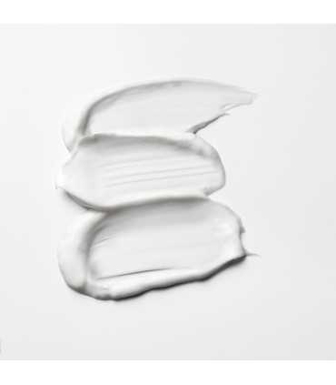 Shu Uemura Color Lustre Hair Mask - masque texture