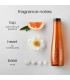 Shu Uemura Urban Moisture Shampoo Fragrance Structure
