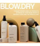 Kevin.Murphy BLOW DRY.ME - pour le coiffage. Acheter avec livraison
